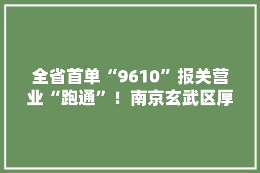 全省首单“9610”报关营业“跑通”！南京玄武区厚植跨境电商新膏壤