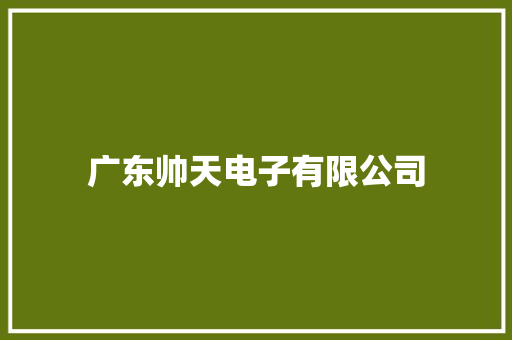 广东帅天电子有限公司