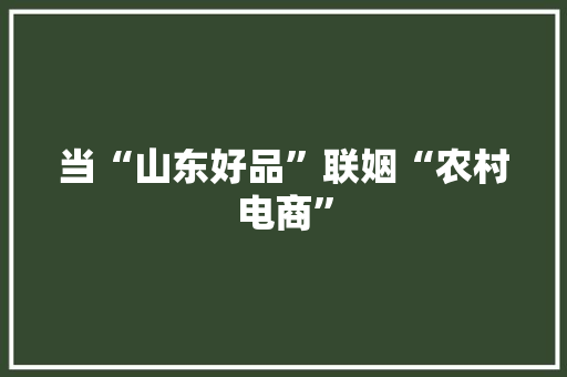 当“山东好品”联姻“农村电商” 当“山东好品”联姻“农村电商” 互联通信