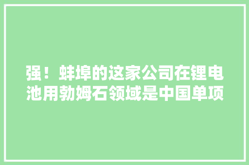 强！蚌埠的这家公司在锂电池用勃姆石领域是中国单项冠军 强！蚌埠的这家公司在锂电池用勃姆石领域是中国单项冠军 人工智能