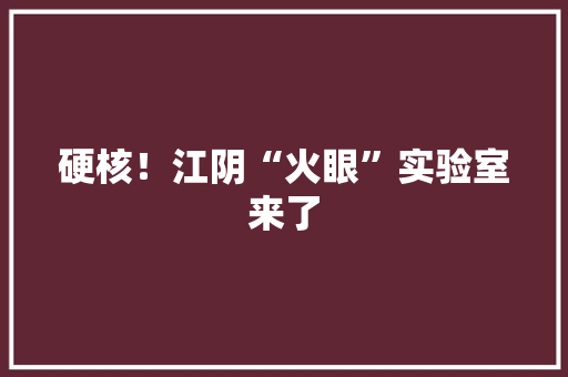 硬核！江阴“火眼”实验室来了