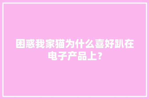 困惑我家猫为什么喜好趴在电子产品上？