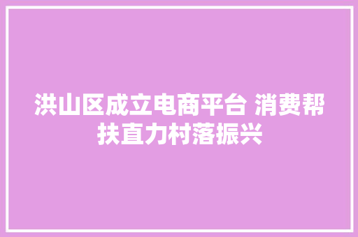 洪山区成立电商平台 消费帮扶直力村落振兴