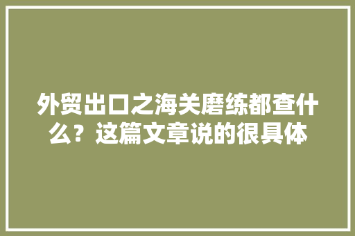 外贸出口之海关磨练都查什么？这篇文章说的很具体