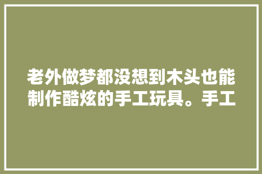 老外做梦都没想到木头也能制作酷炫的手工玩具。手工