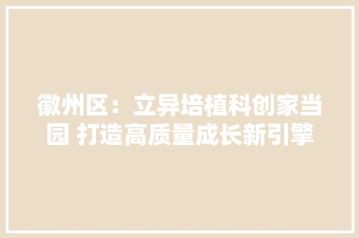 徽州区：立异培植科创家当园 打造高质量成长新引擎