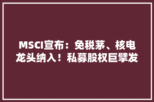 MSCI宣布：免税茅、核电龙头纳入！私募股权巨擘发声：事关中国