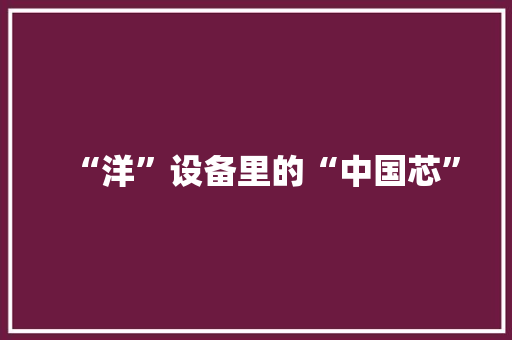 “洋”设备里的“中国芯”