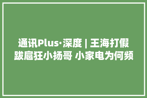 通讯Plus·深度 | 王海打假跋扈狂小扬哥 小家电为何频现“质量门”？