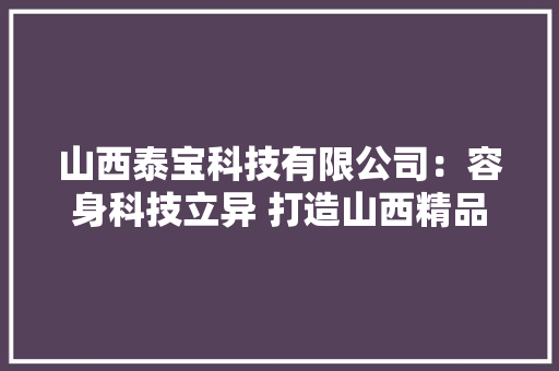 山西泰宝科技有限公司：容身科技立异 打造山西精品