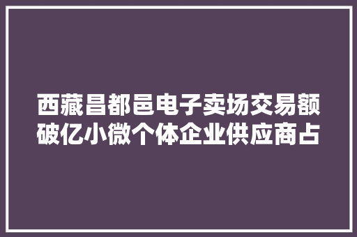 西藏昌都邑电子卖场交易额破亿小微个体企业供应商占比超97%