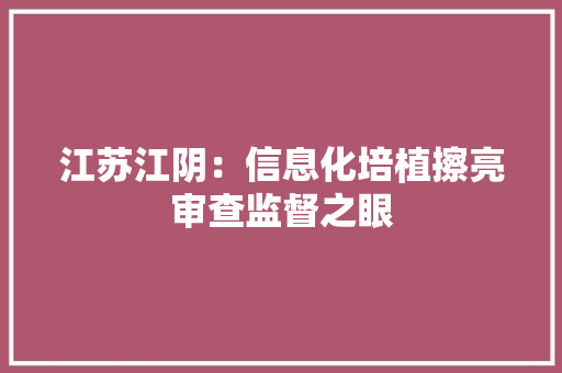 江苏江阴：信息化培植擦亮审查监督之眼
