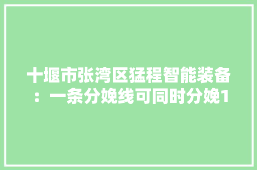 十堰市张湾区猛程智能装备：一条分娩线可同时分娩14种车型