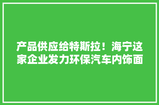 产品供应给特斯拉！海宁这家企业发力环保汽车内饰面料
