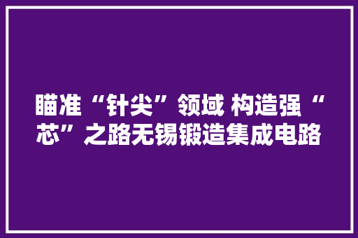 瞄准“针尖”领域 构造强“芯”之路无锡锻造集成电路“王牌家当”