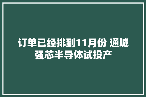 订单已经排到11月份 通城强芯半导体试投产