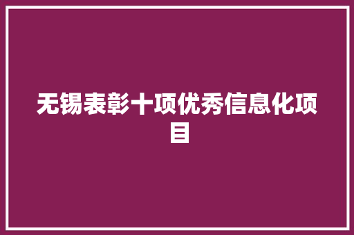 无锡表彰十项优秀信息化项目