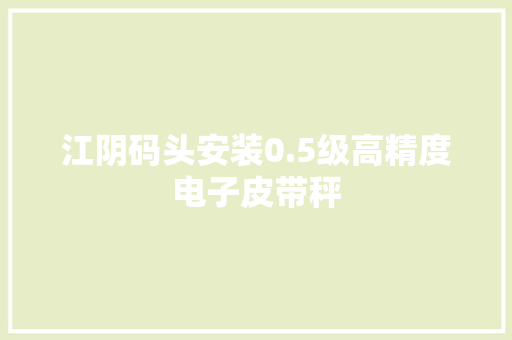 江阴码头安装0.5级高精度电子皮带秤