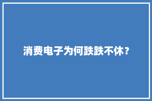 消费电子为何跌跌不休？