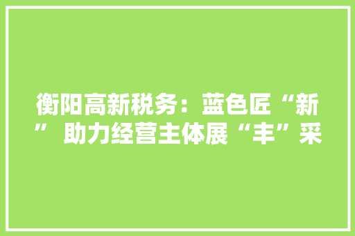 衡阳高新税务：蓝色匠“新” 助力经营主体展“丰”采