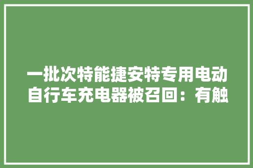 一批次特能捷安特专用电动自行车充电器被召回：有触电和失火风险
