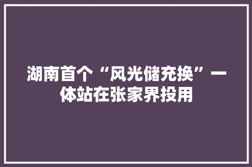 湖南首个“风光储充换”一体站在张家界投用