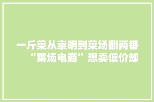 一斤菜从崇明到菜场翻两番    “菜场电商”想卖低价却被抵制