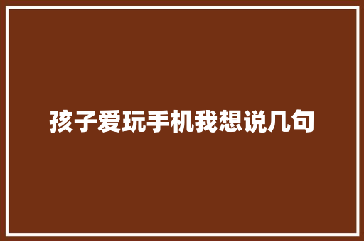 孩子爱玩手机我想说几句