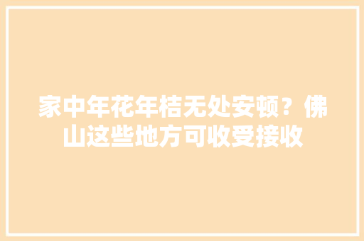 家中年花年桔无处安顿？佛山这些地方可收受接收