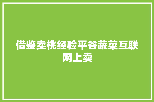 借鉴卖桃经验平谷蔬菜互联网上卖