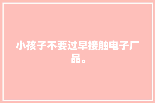 小孩子不要过早接触电子厂品。