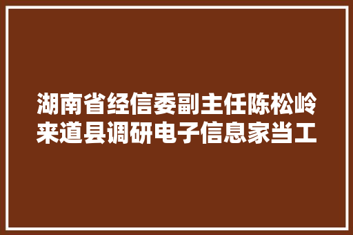 湖南省经信委副主任陈松岭来道县调研电子信息家当工作