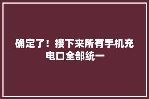 确定了！接下来所有手机充电口全部统一
