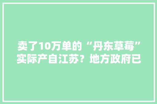 卖了10万单的“丹东草莓”实际产自江苏？地方政府已介入查询访问