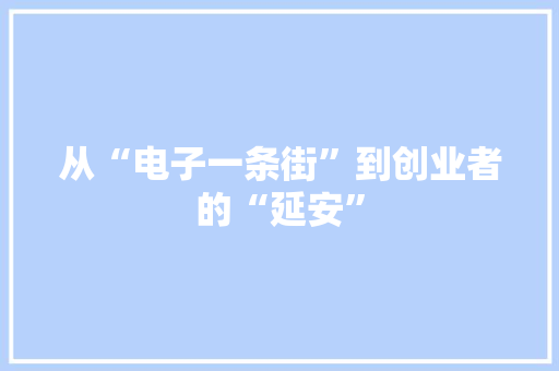 从“电子一条街”到创业者的“延安”