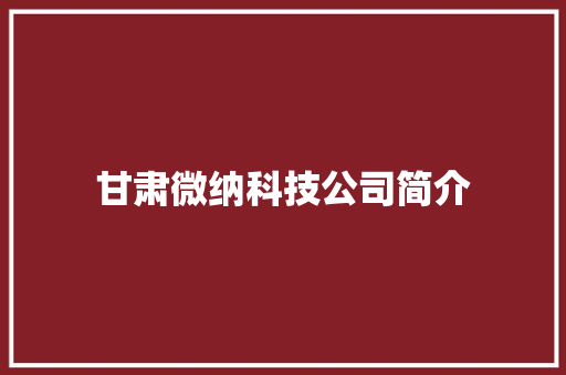 甘肃微纳科技公司简介