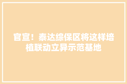 官宣！泰达综保区将这样培植联动立异示范基地