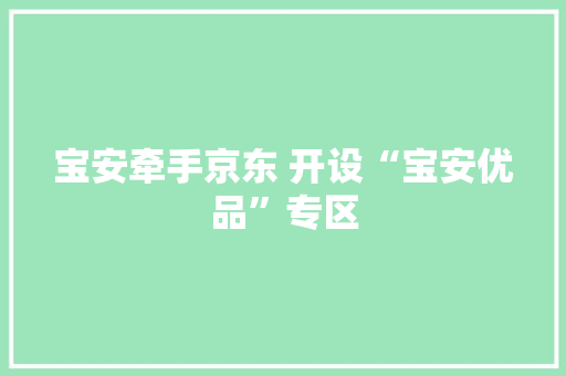 宝安牵手京东 开设“宝安优品”专区
