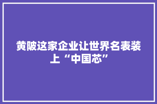 黄陂这家企业让世界名表装上“中国芯”