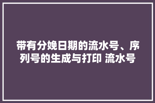 带有分娩日期的流水号、序列号的生成与打印 流水号生成