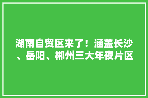湖南自贸区来了！涵盖长沙、岳阳、郴州三大年夜片区