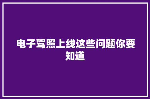 电子驾照上线这些问题你要知道