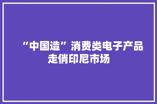 “中国造”消费类电子产品走俏印尼市场