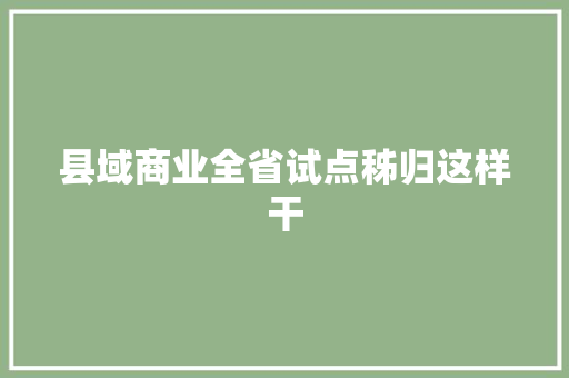 县域商业全省试点秭归这样干