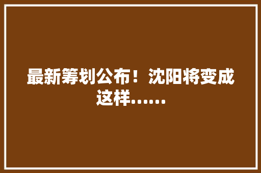 最新筹划公布！沈阳将变成这样……