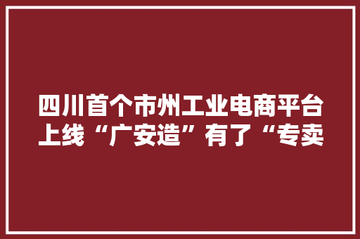 四川首个市州工业电商平台上线“广安造”有了“专卖网”