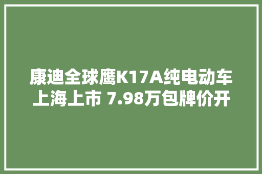 康迪全球鹰K17A纯电动车上海上市 7.98万包牌价开售
