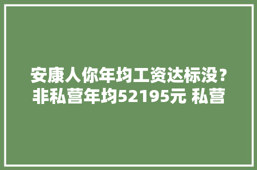 安康人你年均工资达标没？非私营年均52195元 私营33608元