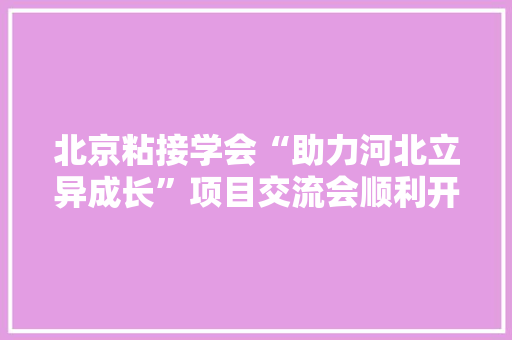 北京粘接学会“助力河北立异成长”项目交流会顺利开展 智能家居