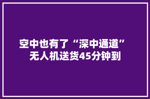 空中也有了“深中通道” 无人机送货45分钟到